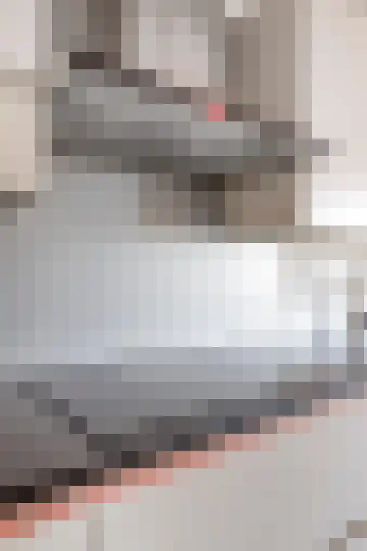 Vijfhagen 37 Breda thumbnail 21