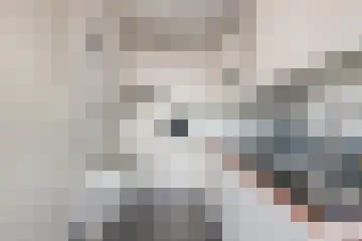Vijfhagen 37 Breda thumbnail 23