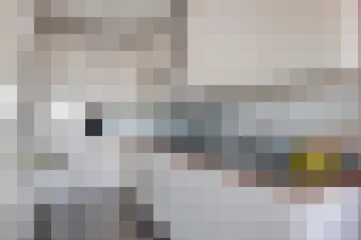 Vijfhagen 37 Breda thumbnail 24
