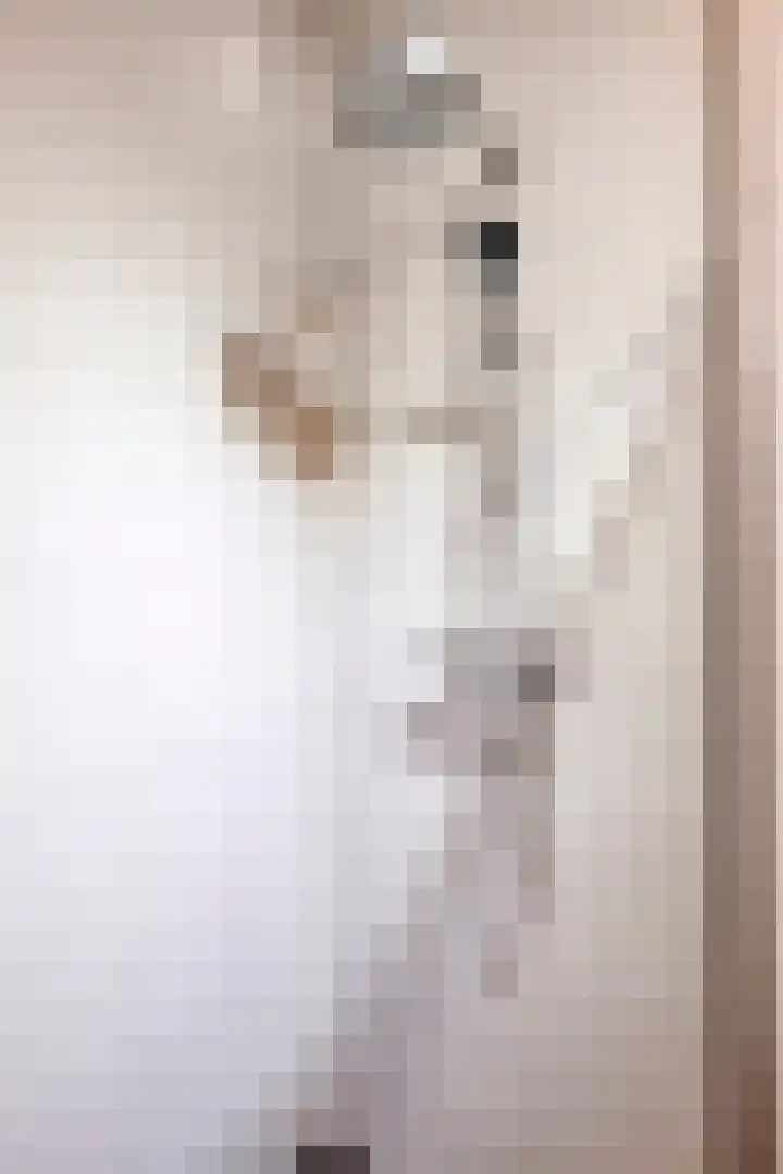 Vijfhagen 37 Breda thumbnail 28