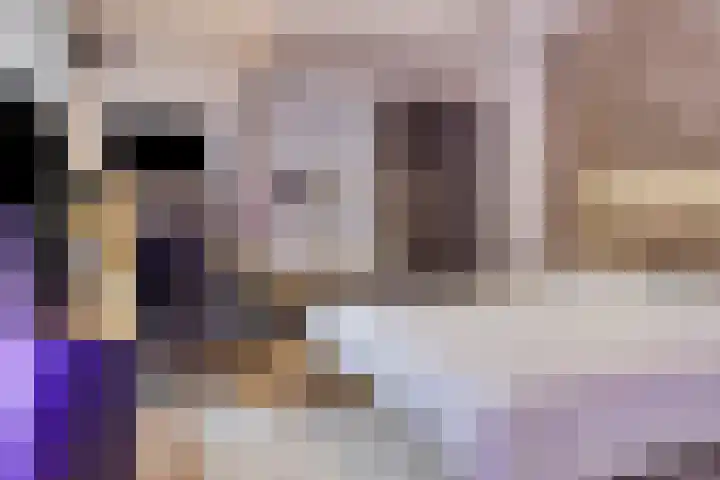 Vijfhagen 37 Breda thumbnail 5