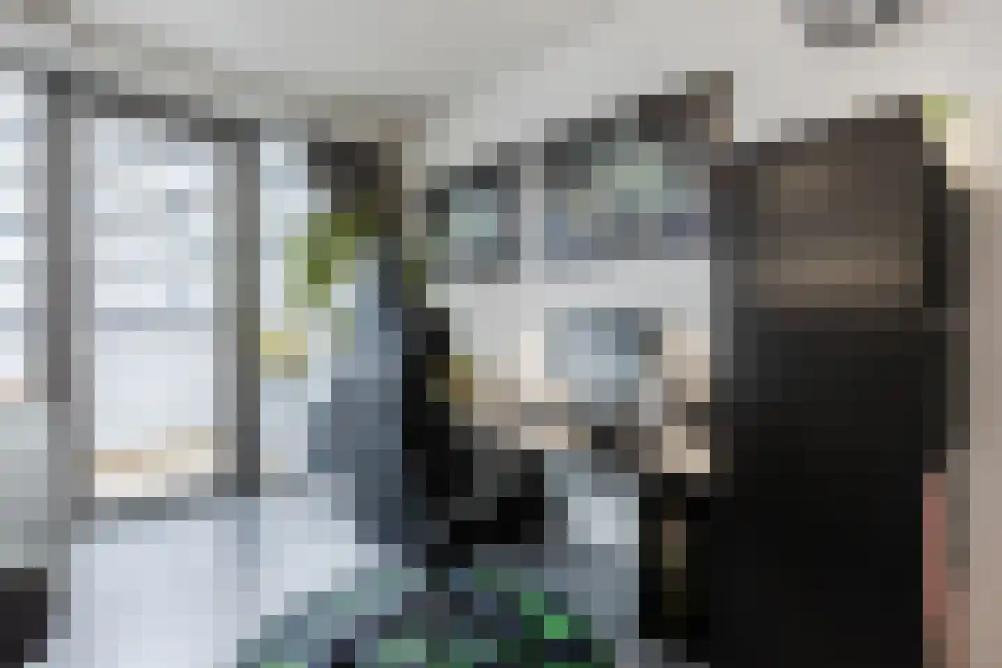 Vijfhagen 384 Breda thumbnail 9
