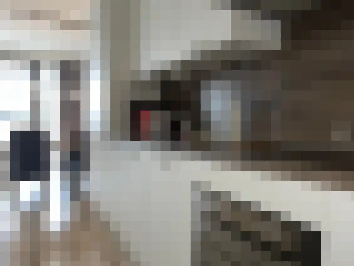 Vijfhagen 61 Breda thumbnail 6