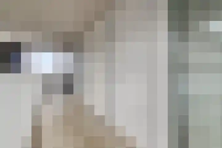 Vijfhagen 65 Breda thumbnail 11