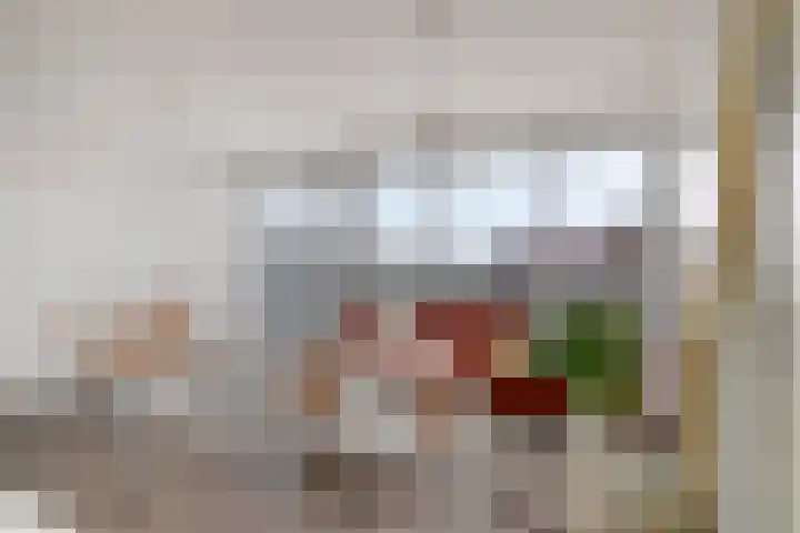 Vijfhagen 65 Breda thumbnail 14