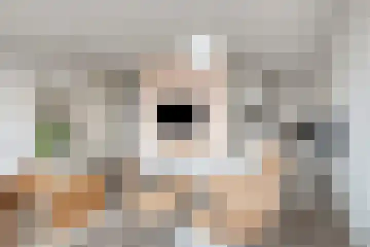 Vijfhagen 65 Breda thumbnail 15