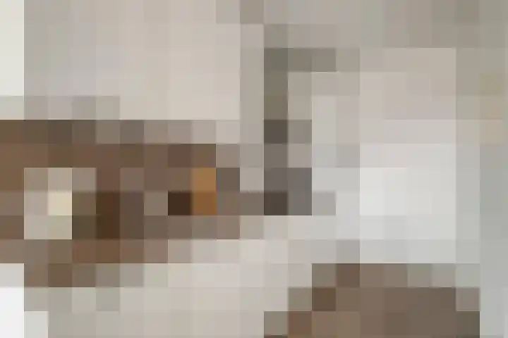 Vijfhagen 65 Breda thumbnail 18