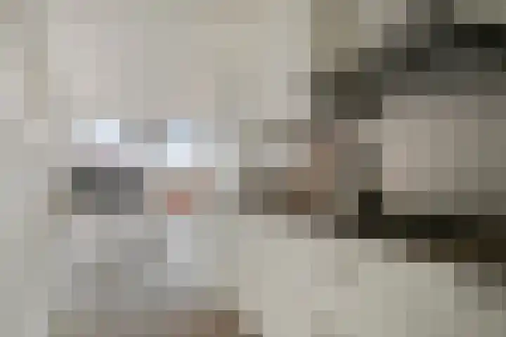 Vijfhagen 65 Breda thumbnail 19