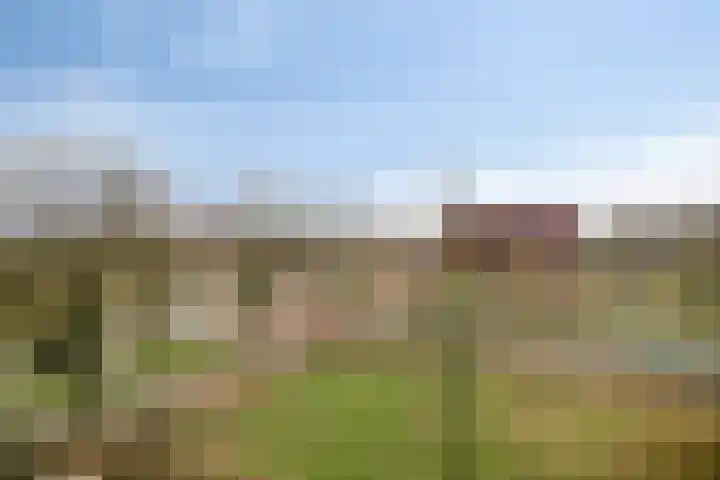 Vijfhagen 65 Breda thumbnail 27