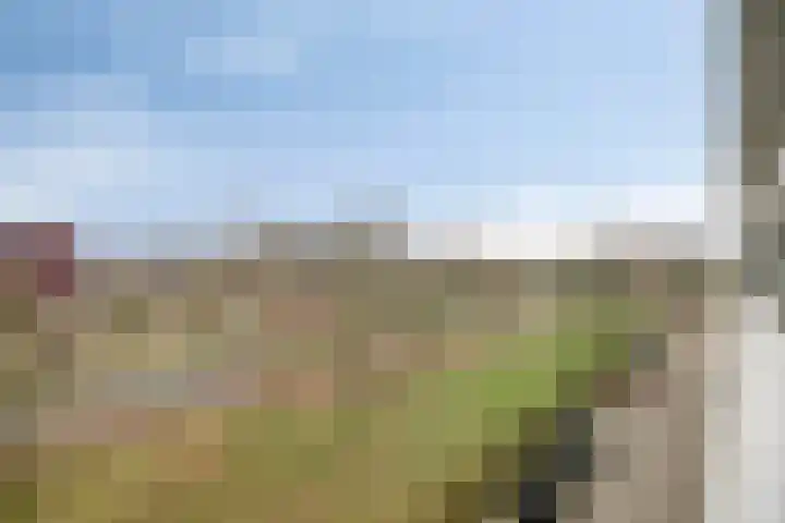 Vijfhagen 65 Breda thumbnail 28