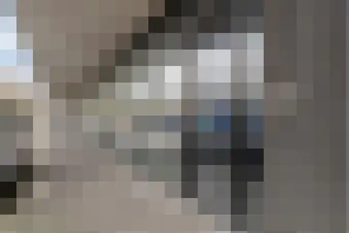 Vijfhagen 65 Breda thumbnail 8