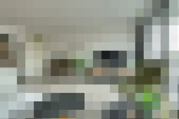 Vijfhagen 8 Breda thumbnail 15