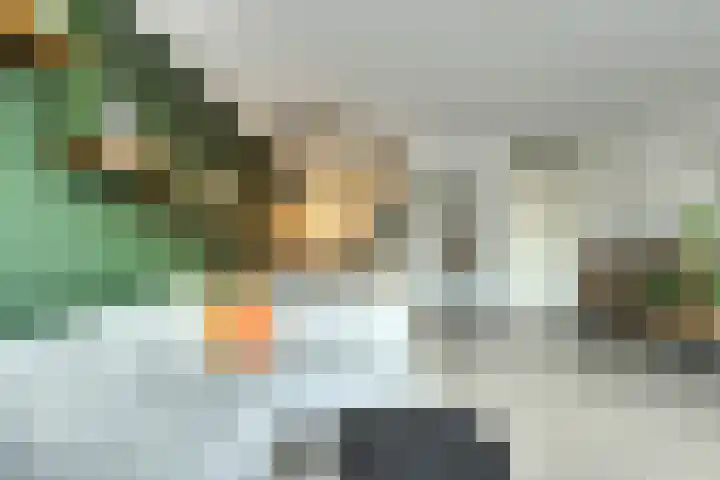 Vijfhagen 8 Breda thumbnail 16