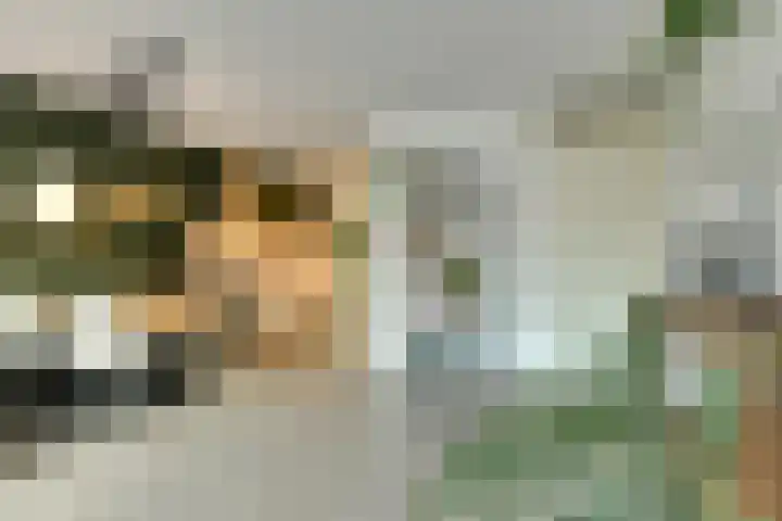Vijfhagen 8 Breda thumbnail 17