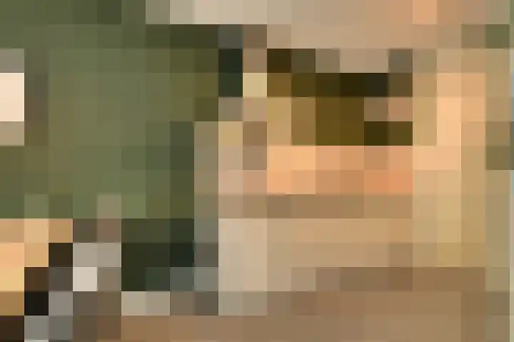 Vijfhagen 8 Breda thumbnail 19