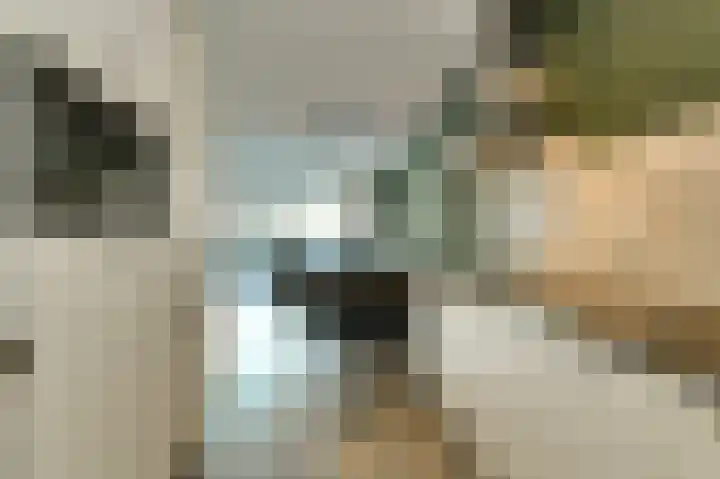 Vijfhagen 8 Breda thumbnail 20