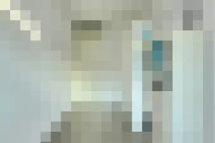 Vijfhagen 8 Breda thumbnail 34