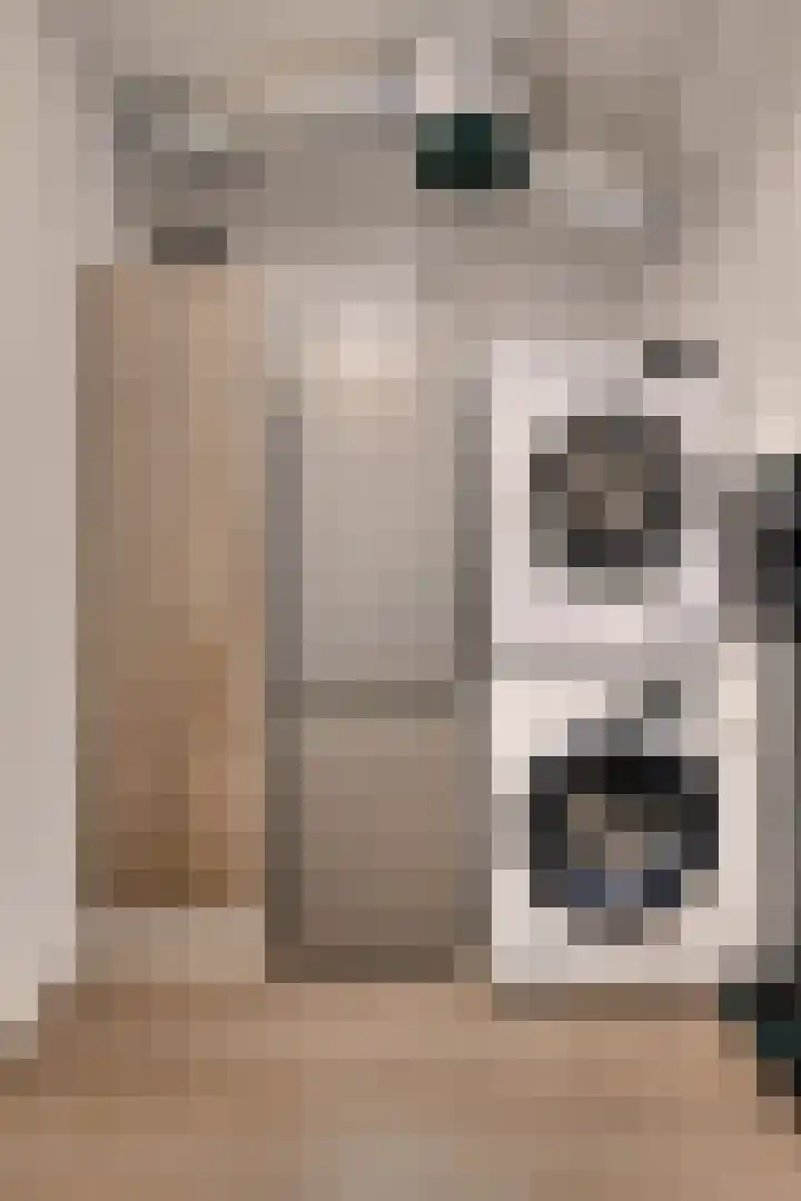 Vijfhagen 8 Breda thumbnail 37