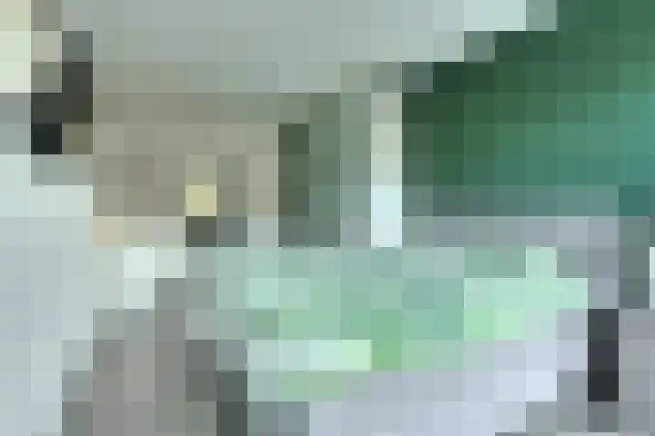 Vijfhagen 8 Breda thumbnail 4
