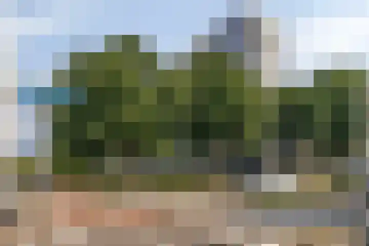 Vijfhagen 82 Breda thumbnail 11