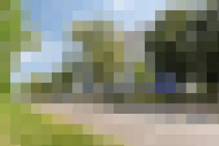 Vijfhagen 82 Breda thumbnail 12