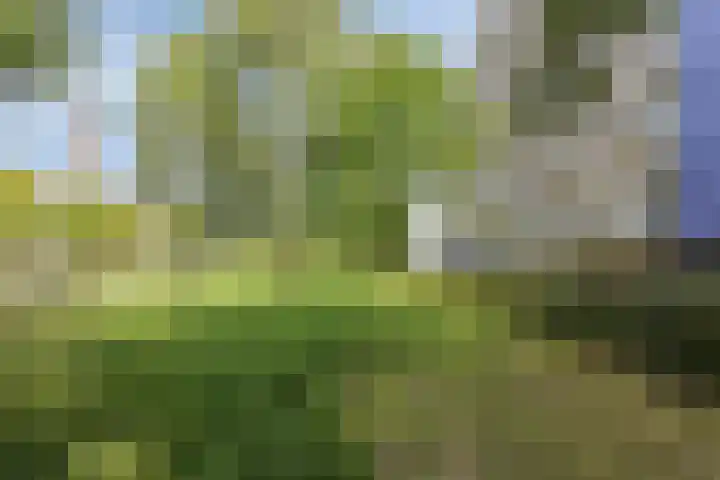 Vijfhagen 82 Breda thumbnail 13