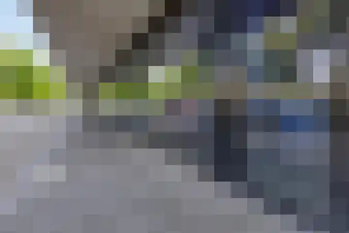 Vijfhagen 82 Breda thumbnail 14