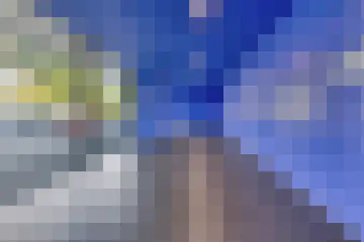 Vijfhagen 82 Breda thumbnail 15