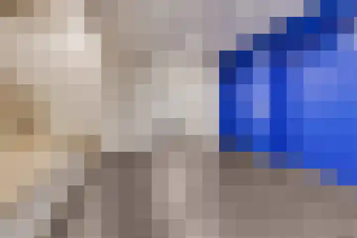 Vijfhagen 82 Breda thumbnail 16