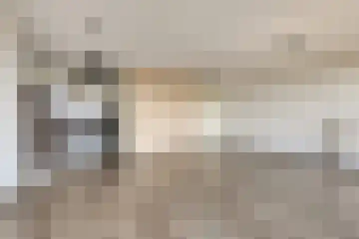 Vijfhagen 82 Breda thumbnail 22