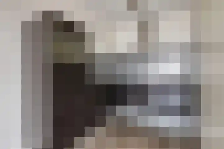 Vijfhagen 82 Breda thumbnail 24