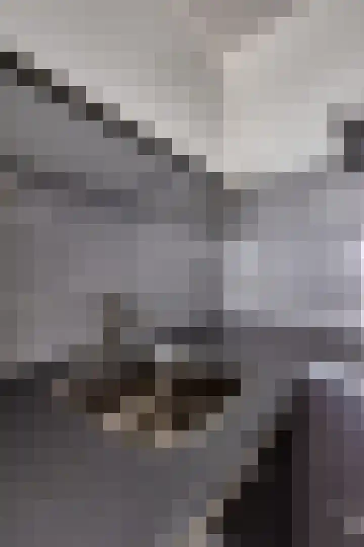 Vijfhagen 82 Breda thumbnail 25