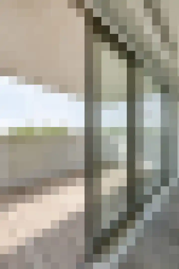 Vijfhagen 82 Breda thumbnail 28