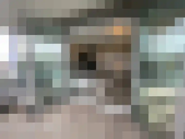 Vijfhagen 82 Breda thumbnail 30
