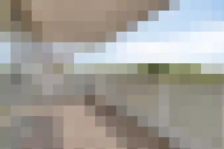 Vijfhagen 82 Breda thumbnail 32