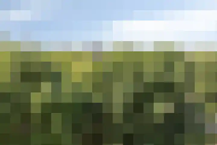 Vijfhagen 82 Breda thumbnail 33