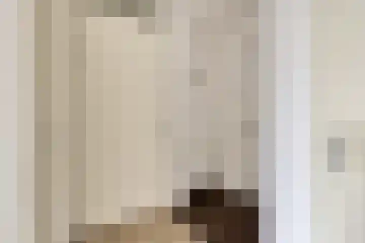Vijfhagen 82 Breda thumbnail 34