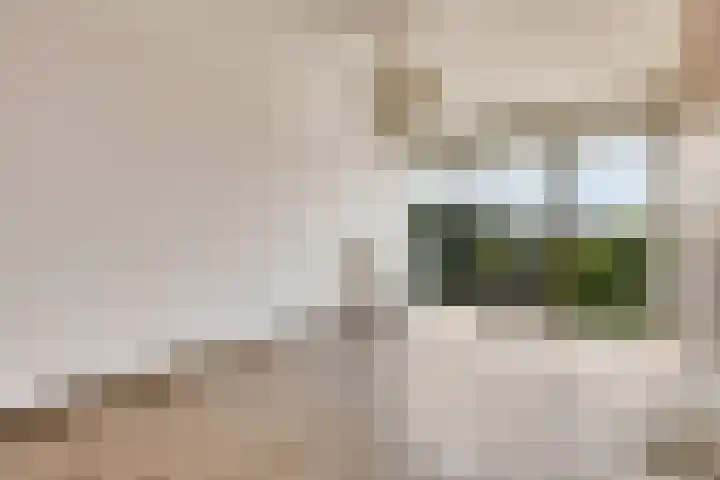 Vijfhagen 82 Breda thumbnail 36