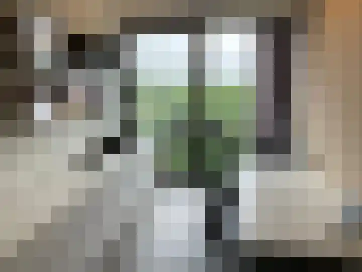 Vijfhagen 82 Breda thumbnail 41