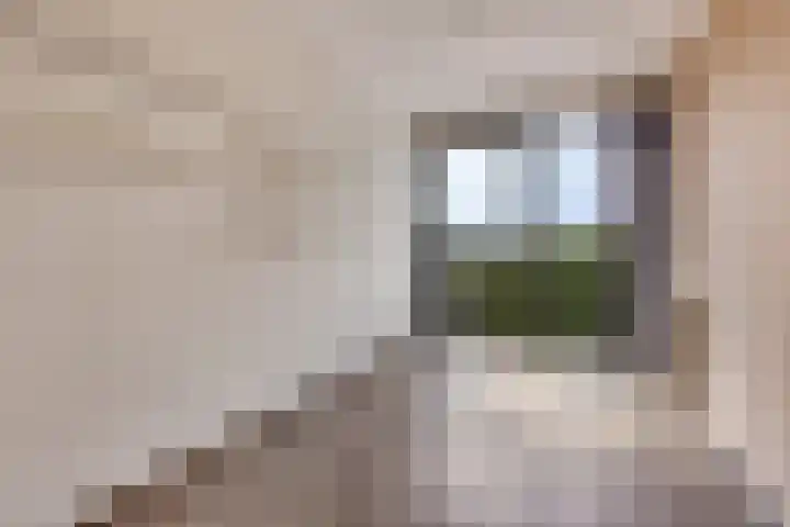 Vijfhagen 82 Breda thumbnail 6