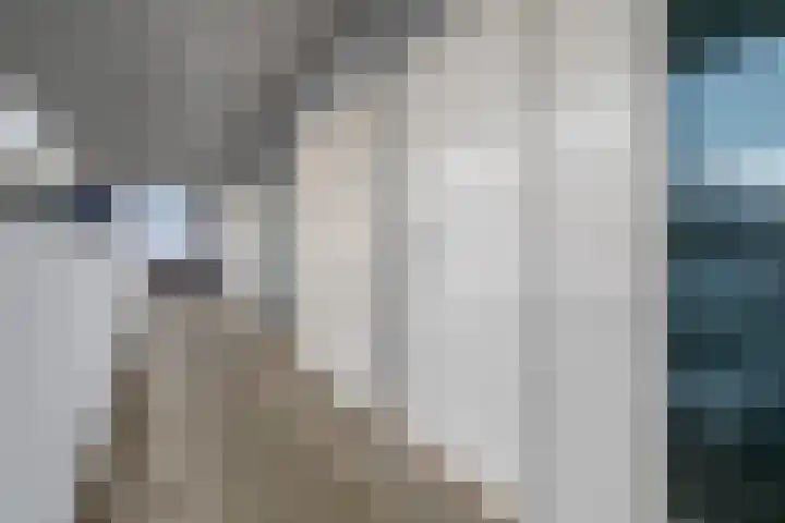 Vijfhagen 84 Breda thumbnail 10