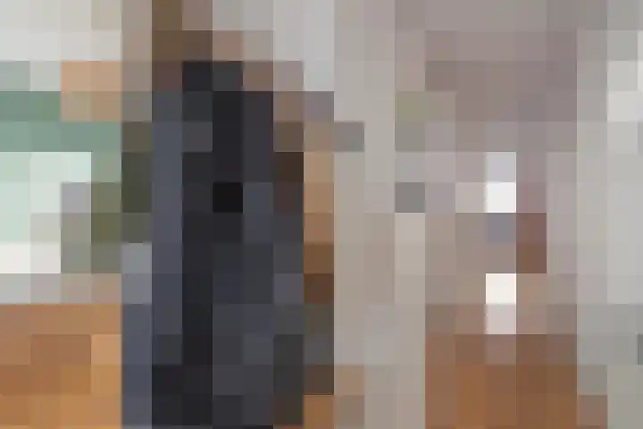 Vijfhagen 84 Breda thumbnail 11