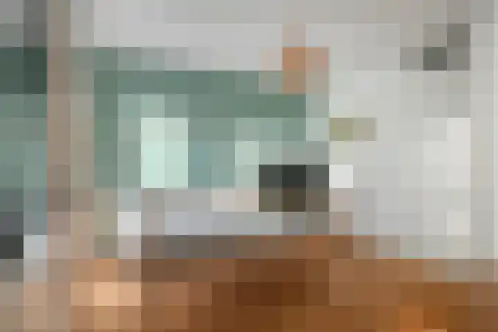 Vijfhagen 84 Breda thumbnail 16