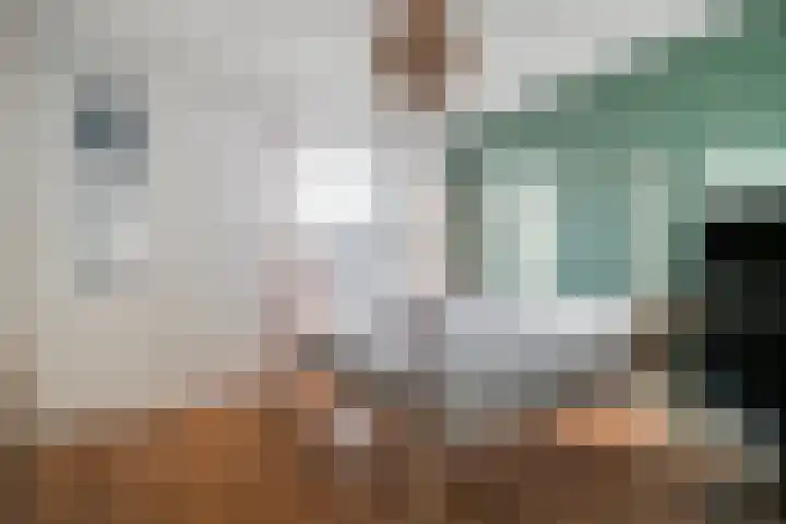 Vijfhagen 84 Breda thumbnail 17
