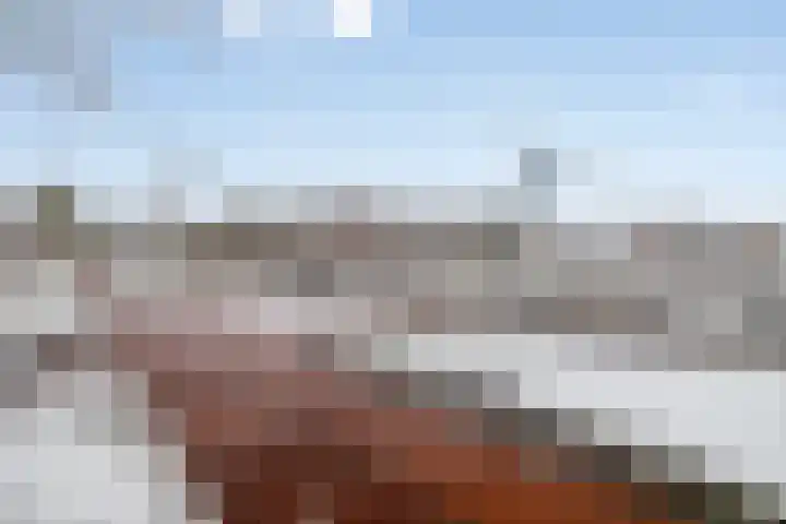 Vijfhagen 84 Breda thumbnail 26