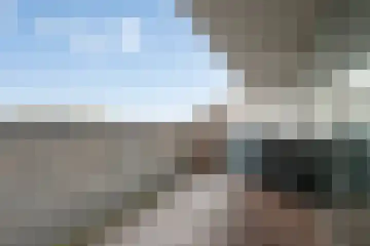 Vijfhagen 84 Breda thumbnail 5