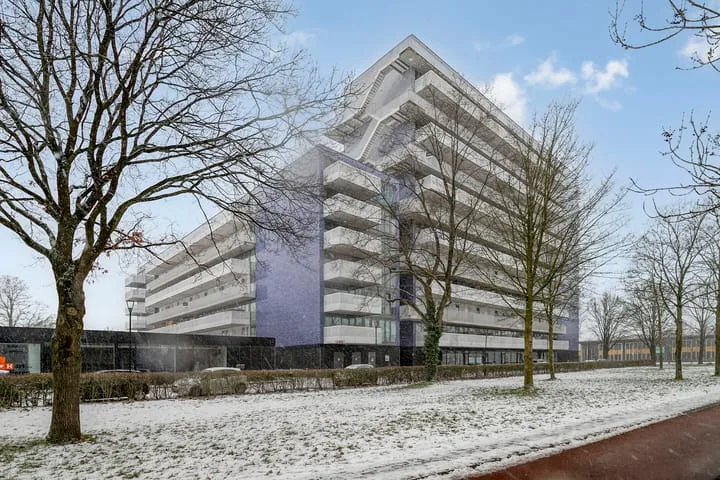 Vijfhagen 84 Breda thumbnail 6