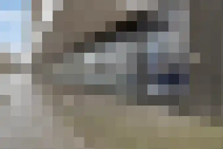 Vijfhagen 84 Breda thumbnail 7