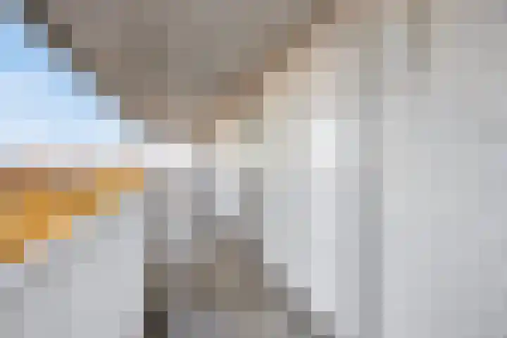 Vijfhagen 97 Breda thumbnail 12