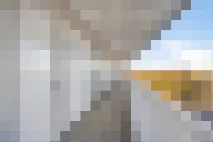 Vijfhagen 97 Breda thumbnail 13